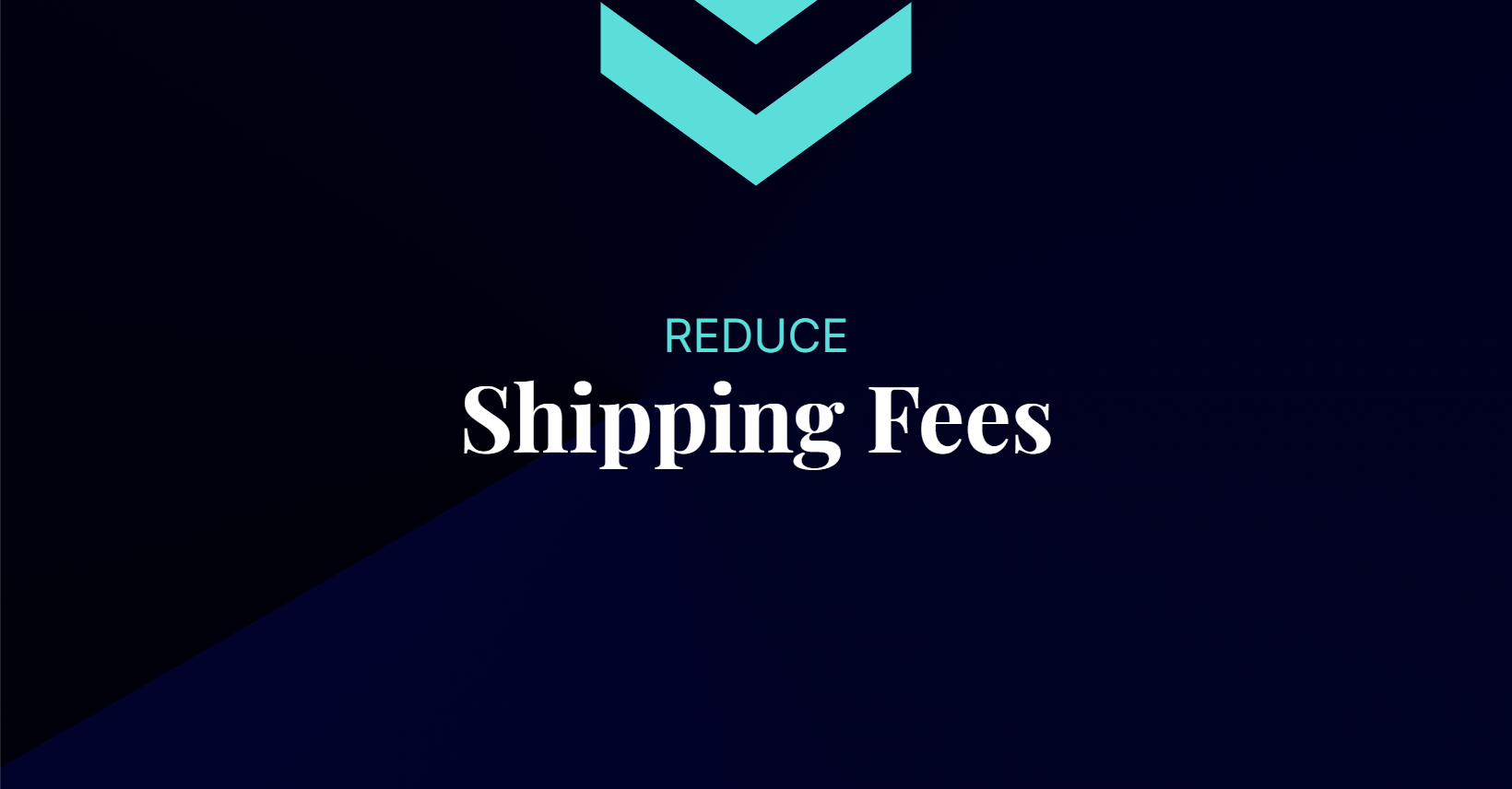 Navigating Shipping Fees for Success Futurmax